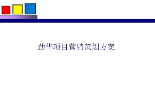 勁花項目營銷策劃方案分享